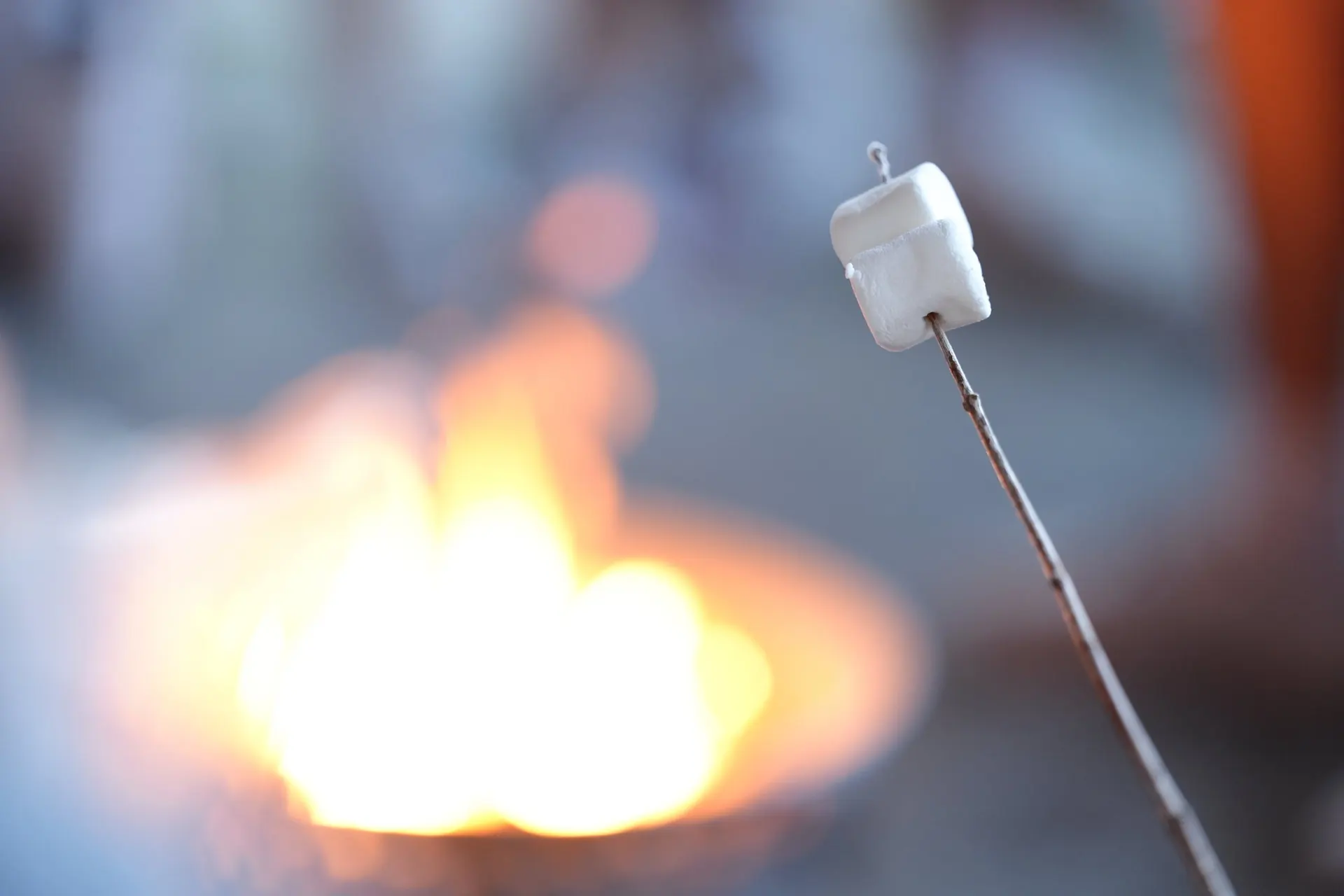 Roasting marshmallows in the evening